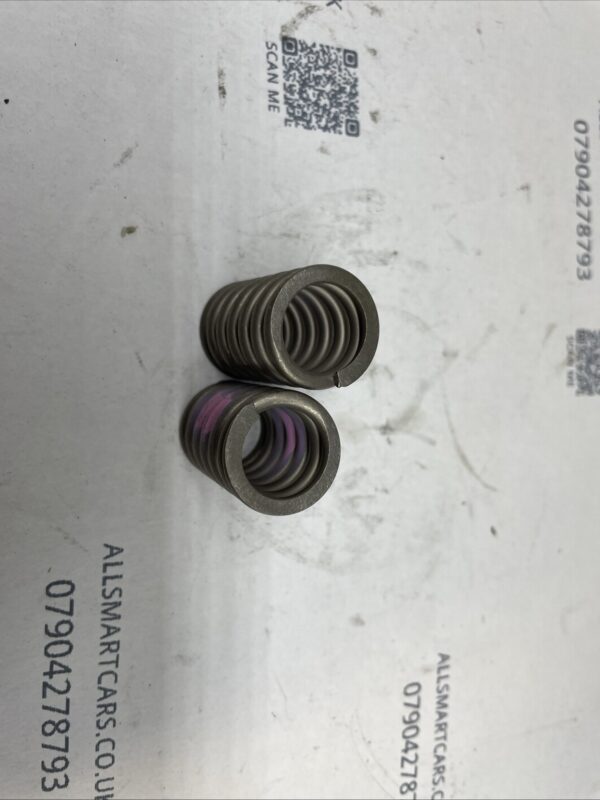 NEW-Genuine-Smart-451-Fortwo-Exhaust-Push-Springs-A0089933201-157799372530-2 NEW Genuine Smart 451 Fortwo Exhaust Push Springs A0089933201 157799372530 2