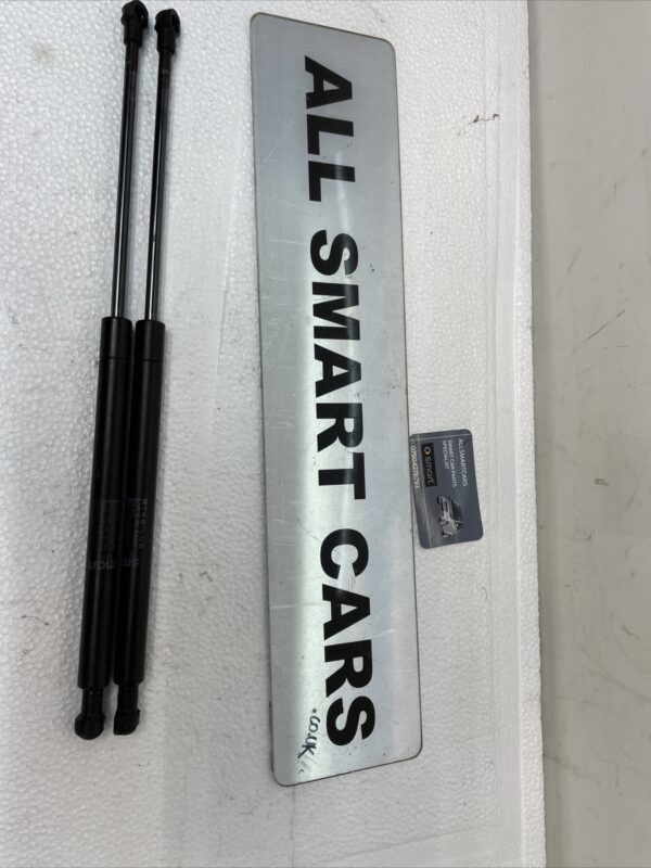 SMART ROADSTER 452 PAIR OF BOOT GAS STRUTS 0009235v005