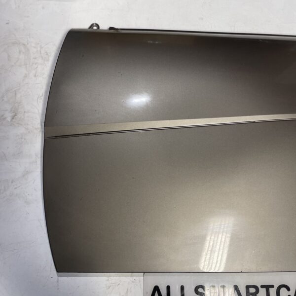 Smart 451 Door Panel Left Silver EB2 ECG 156143381124 2